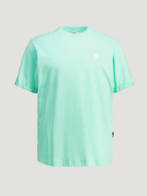 Chasin T-Shirt 52110011-E64