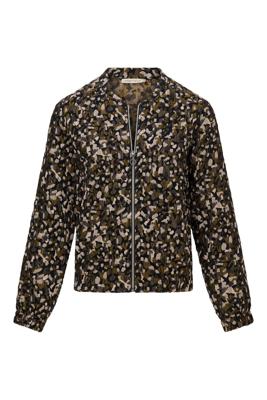 Dreamstar Jack W25 216 Deedry