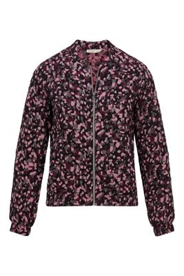 Dreamstar Jack W25 216 Deedry