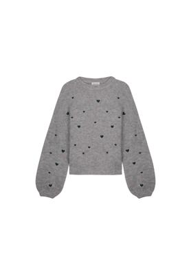 Fabienne Chapot Trui CLTPUL23AW259516