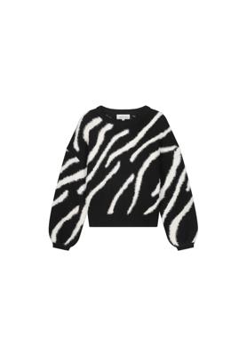 Fabienne Chapot Trui CLTPUL20AW259001