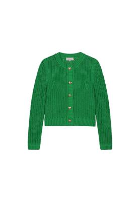 Fabienne Chapot Vest CLTCAR07AW254321 Green Glimmer