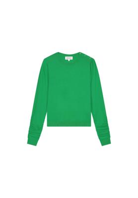 Fabienne Chapot Trui CLTPUL34AW254321
