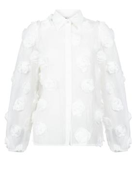 Aaiko Top LIEN 3D PES 518