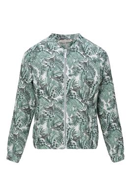 Dreamstar Jack Z26 104 Andrea