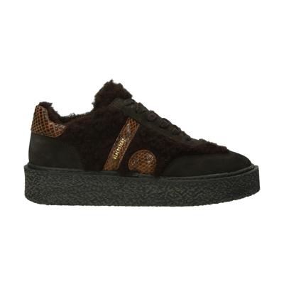 Blackstone Schoenen EL423.DBR