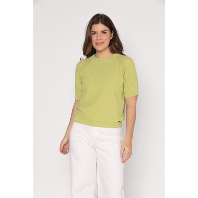 Roberto Sarto Trui 611144-R625