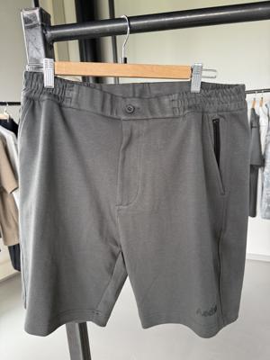 Aeden Shorts A22242731