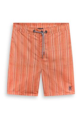 State of Art Shorts 69916637