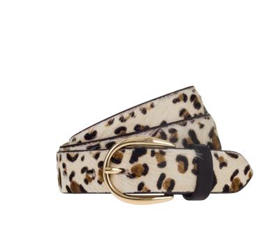 Vanzetti Riem V6266R3219