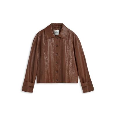 Summum Jack 1s1309-12511