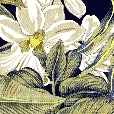 Desoto Dress shirt 93532-3