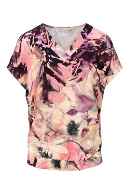 Dreamstar Top Z26 220 Dundee