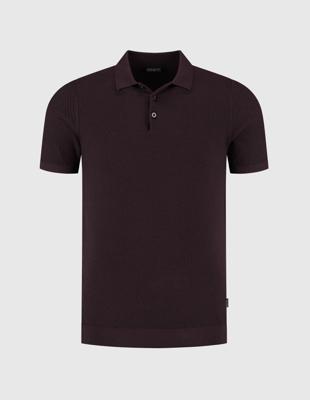 Saint Steve Trui 250490