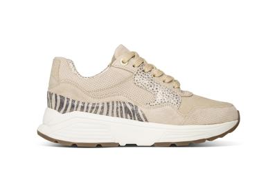 Xsensible Schoenen 33000.2