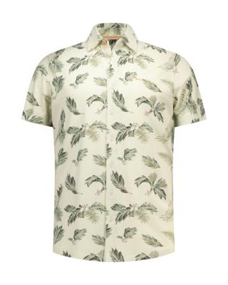 NZA New Zealand Auckland Dress shirt 26DN580S