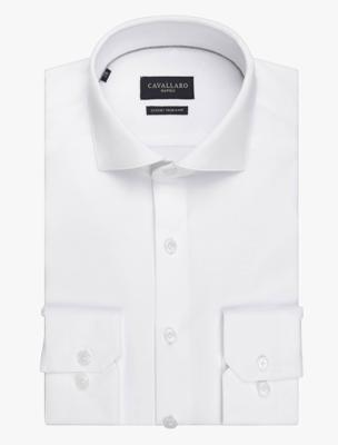 Cavallaro Napoli Overhemd 110265001