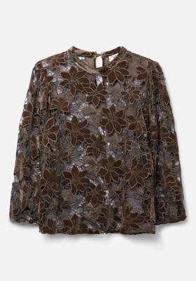 Aaiko Top SHAILA VELVET PES 500