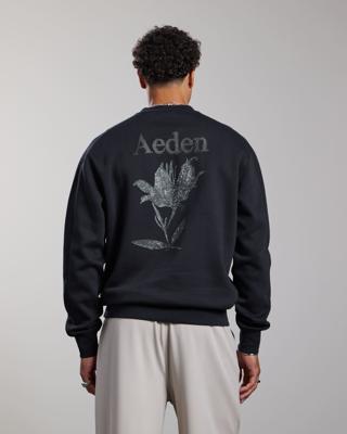 Aeden Sweater A22243330