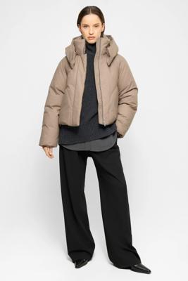 Elvine Jack 331742