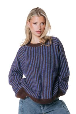Colourful Rebel Sweater WK118412