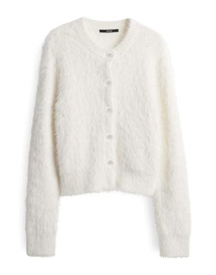 Someday Trui Tannelie