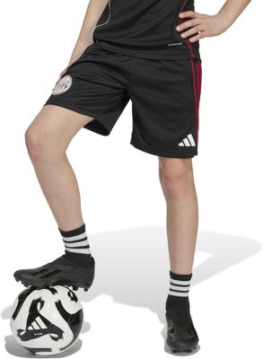 adidas ajax amsterdam tiro 25 competition training short kids