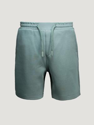 Chasin Shorts 23130005-E53
