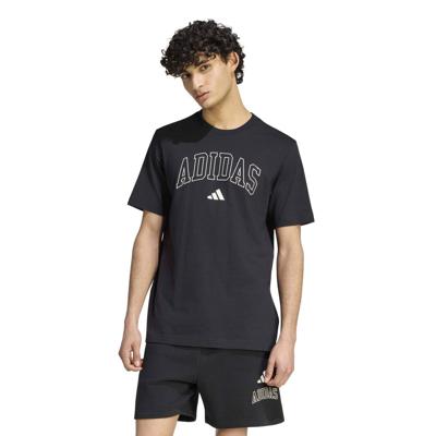 adidas collegiate lineage graphic t-shirt