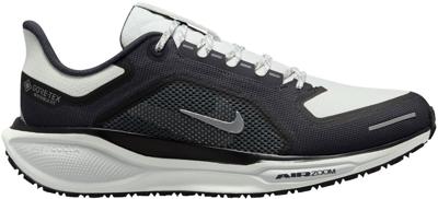 Nike scarpe  pegasus 41 gore-tex pumice/burgundy