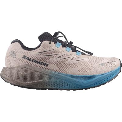 Salomon Aero Blaze 4 GRVL GTX Heren