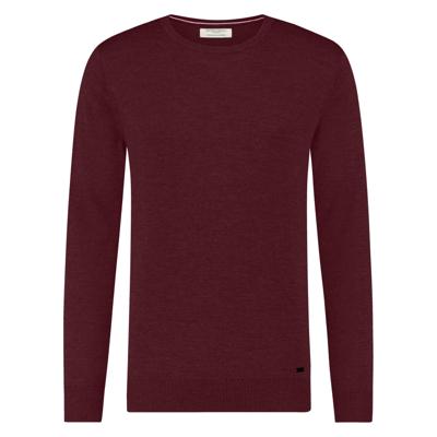 Seven Dials Trui SDL00005RI12