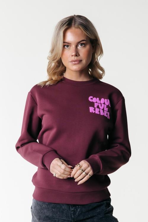 Colourful Rebel Sweater WS416243