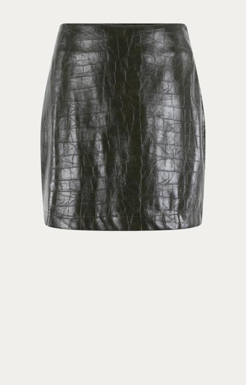 Anna van Toor Rok 74a03-02744